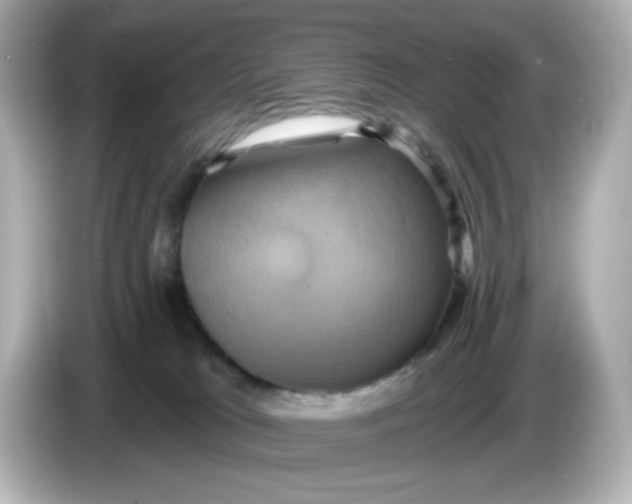 X0000086020037200704091122