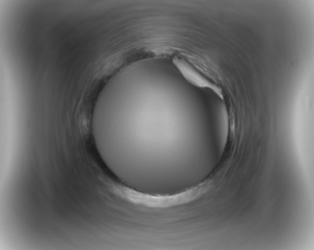 X0000086020039200704091122