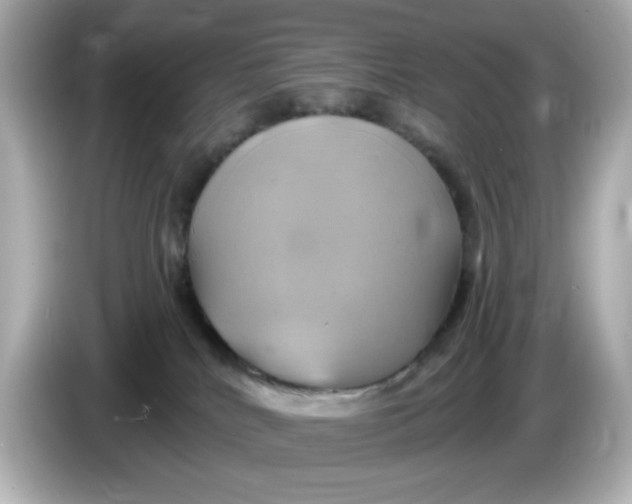 X0000086020040200704091122