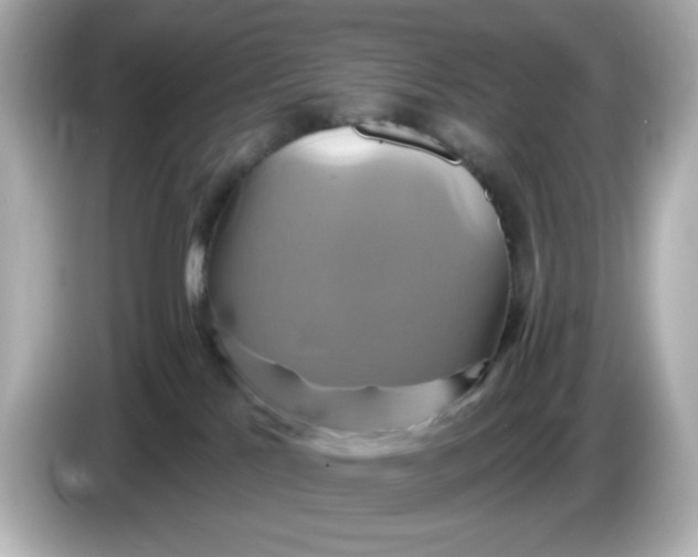 X0000086020041200704091122