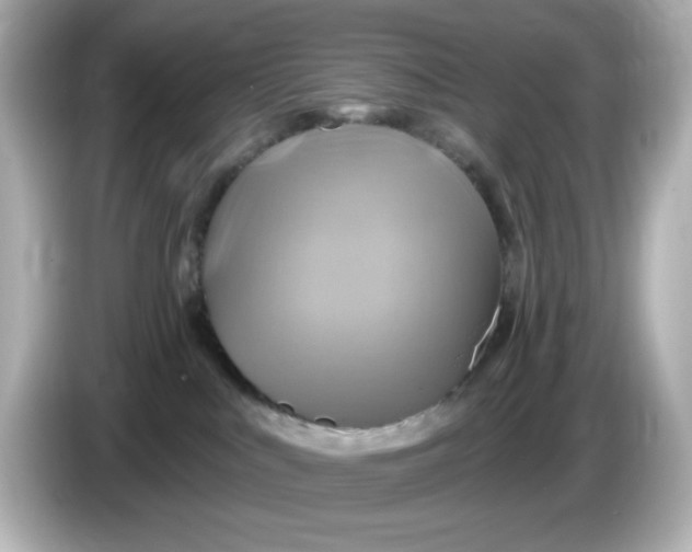 X0000086020043200704091122