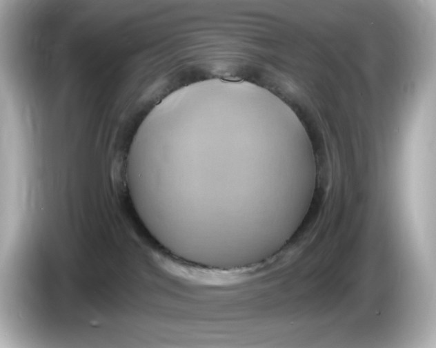 X0000086020044200704091122