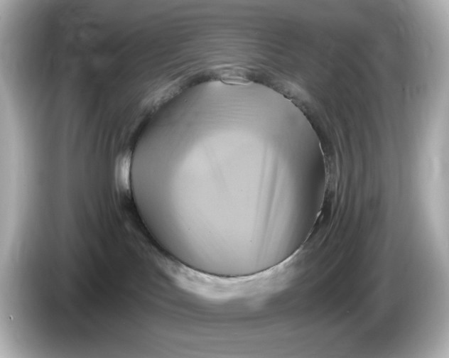 X0000086020047200704091122
