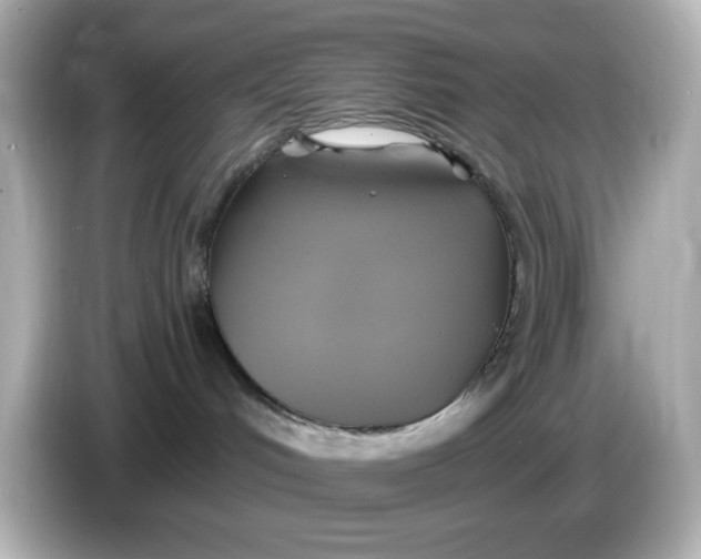X0000086020048200704091122