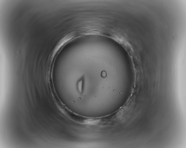X0000086020051200704091121