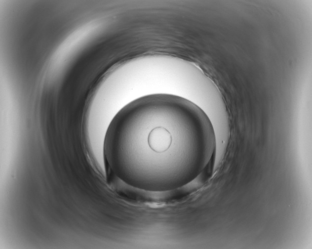 X0000086020052200704091121