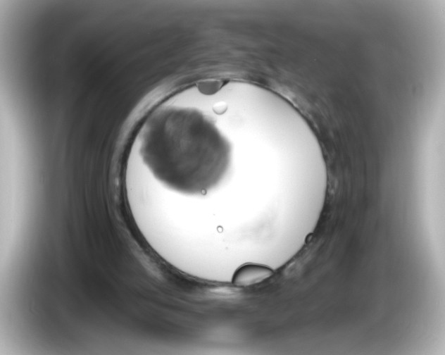 X0000086020053200704091121