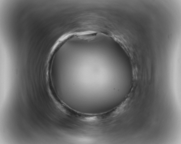 X0000086020054200704091121