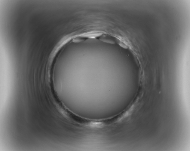 X0000086020055200704091121