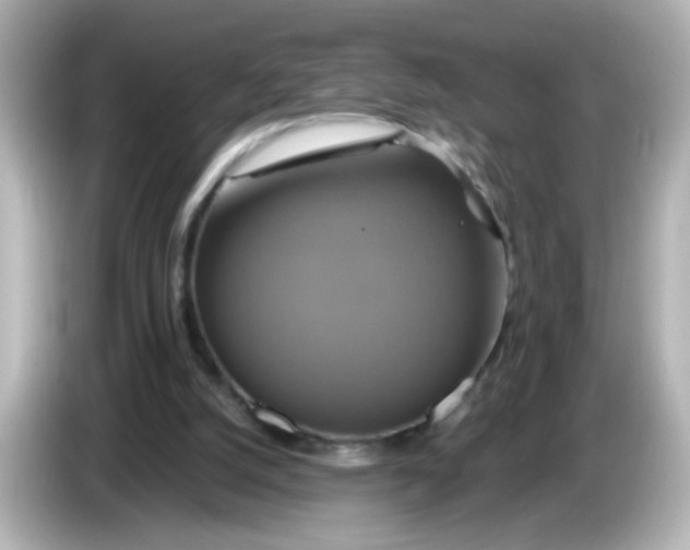 X0000086020056200704091121