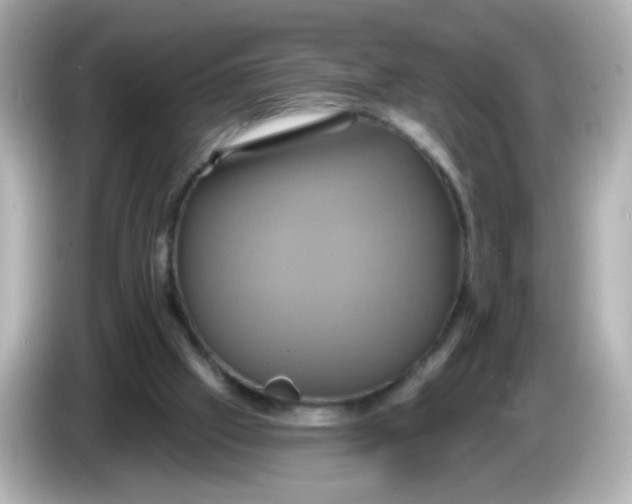 X0000086020057200704091121