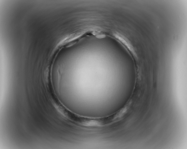 X0000086020058200704091121