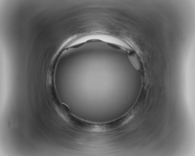 X0000086020060200704091121