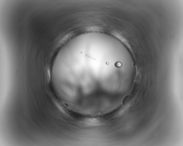 X0000086020061200704091121