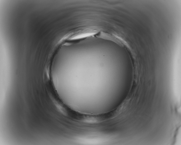 X0000086020062200704091121