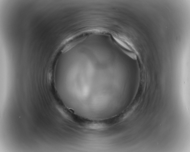 X0000086020063200704091121