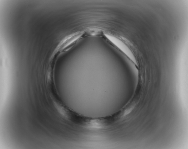 X0000086020064200704091121