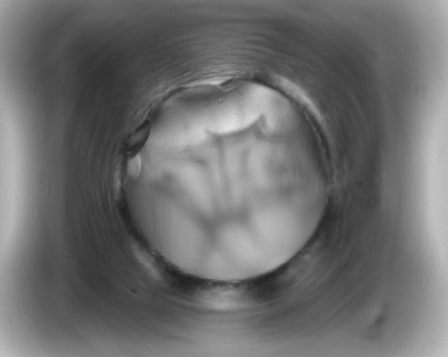 X0000086020065200704091121