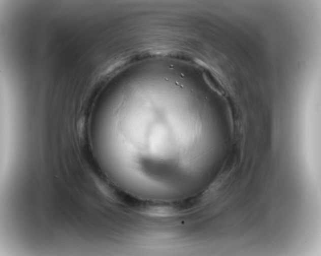 X0000086020066200704091121