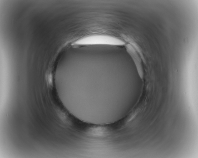 X0000086020067200704091121