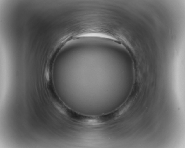 X0000086020068200704091121