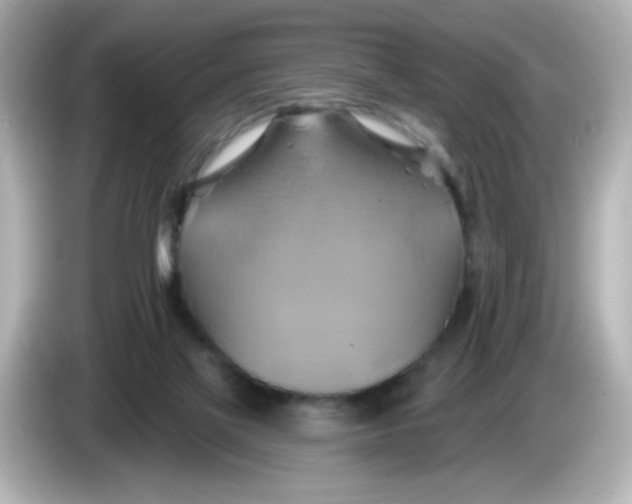 X0000086020069200704091121