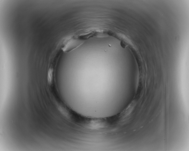 X0000086020070200704091121