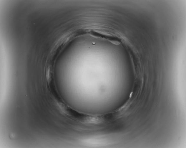 X0000086020074200704091121