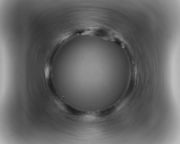 X0000086020076200704091121