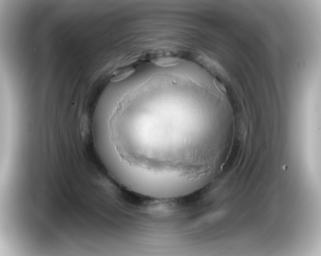 X0000086020077200704091121