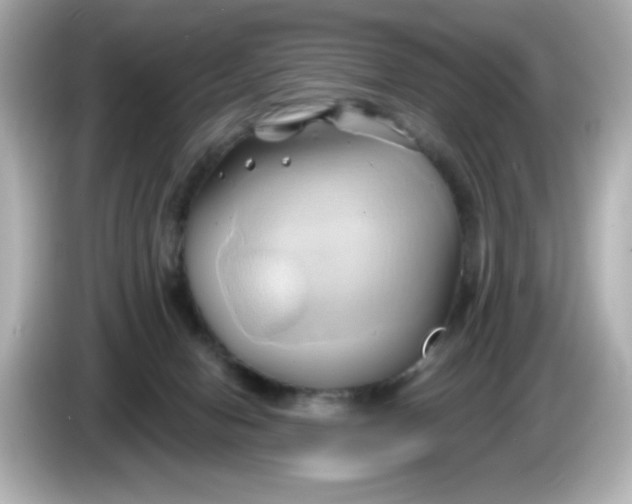 X0000086020078200704091121
