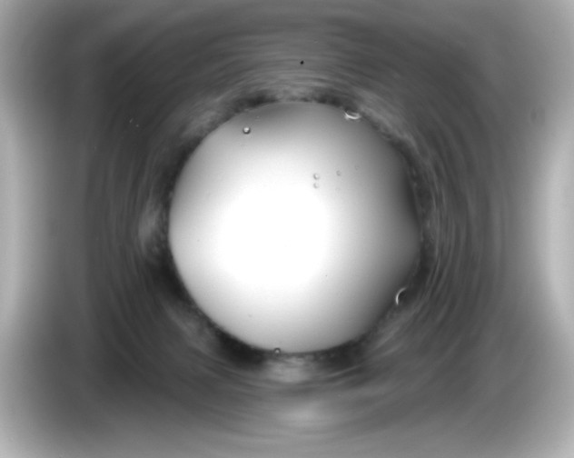 X0000086020079200704091121
