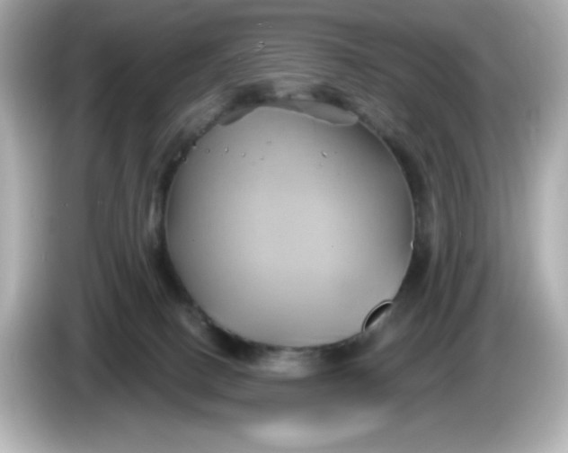 X0000086020082200704091121