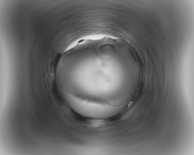 X0000086020085200704091121