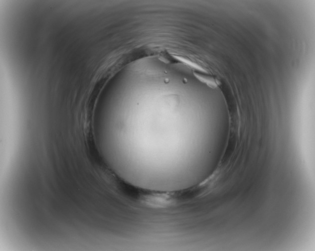 X0000086020086200704091121