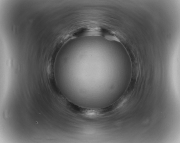 X0000086020088200704091121