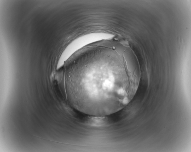 X0000086020089200704091121