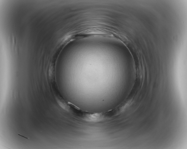 X0000086020092200704091121