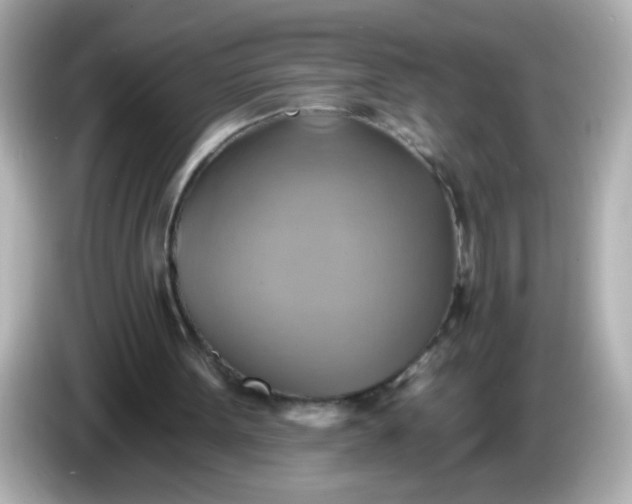 X0000086020099200704091121