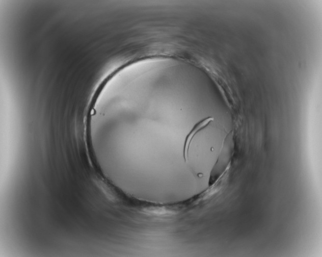 X0000086020100200704091121