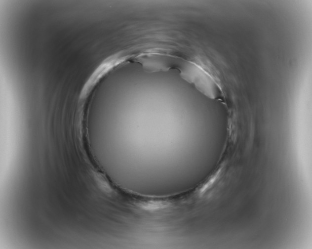 X0000086020101200704091121