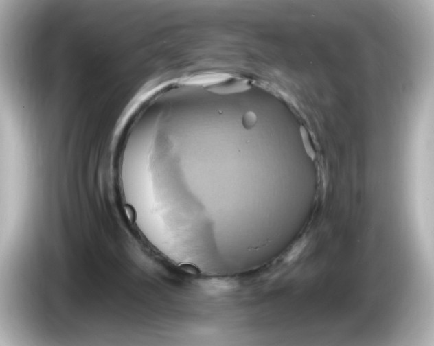 X0000086020102200704091121