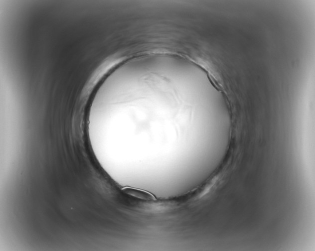 X0000086020103200704091121