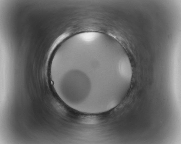 X0000086020104200704091121