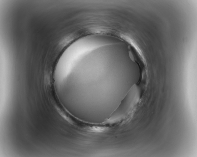 X0000086020105200704091121