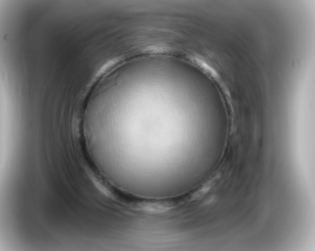 X0000086020106200704091121