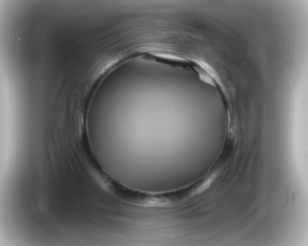 X0000086020109200704091121