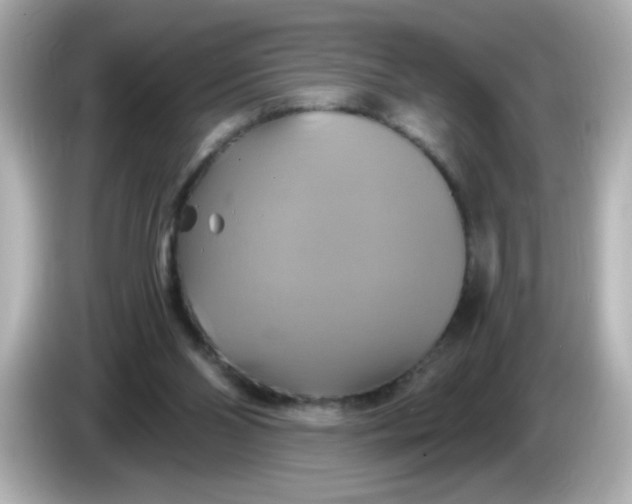 X0000086020110200704091121
