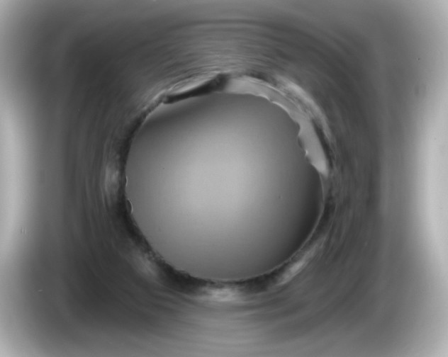 X0000086020113200704091121