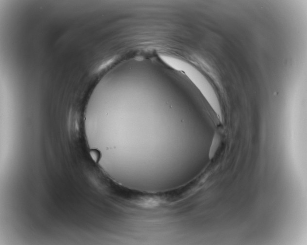 X0000086020115200704091121